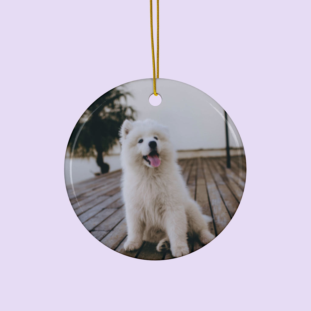 Personalized Pet Memory Ornament